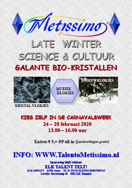 FlyerTalentoMetissimoValeCarneWinterScience2020